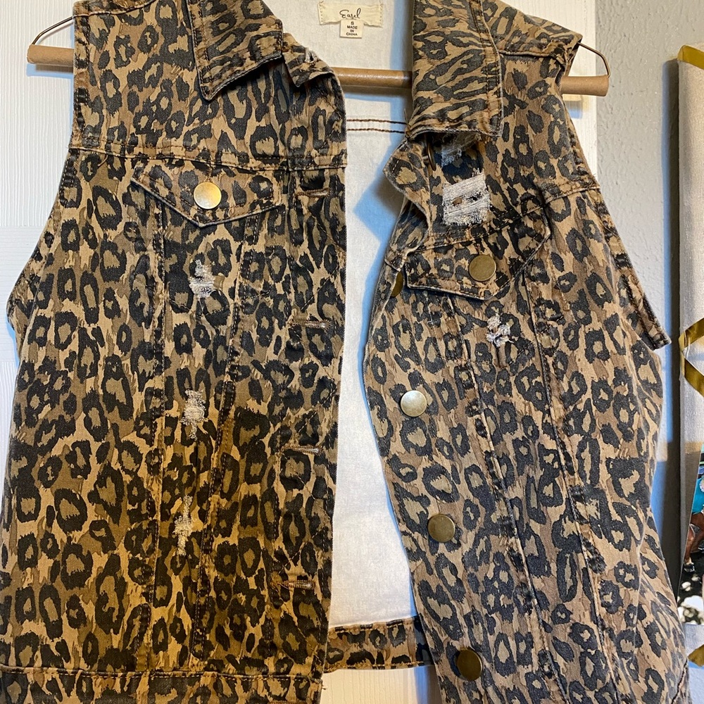 Vest